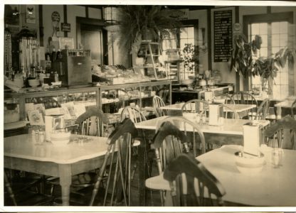 Patterson, NY, Rt 22 #2600_1937 (The Elm)