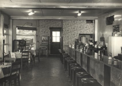 Patterson, NY, Rt 22 #?_ (Browne's Trophy Diner)