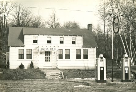 Patterson, NY, Rt22 #2200_1938 (Silver Birch)