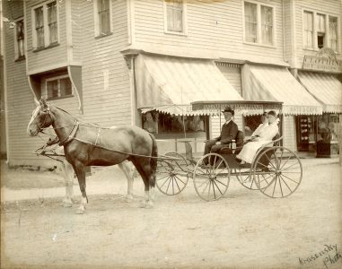 Patterson, NY, Rt 311 #1118_c1900 The Beehive store)